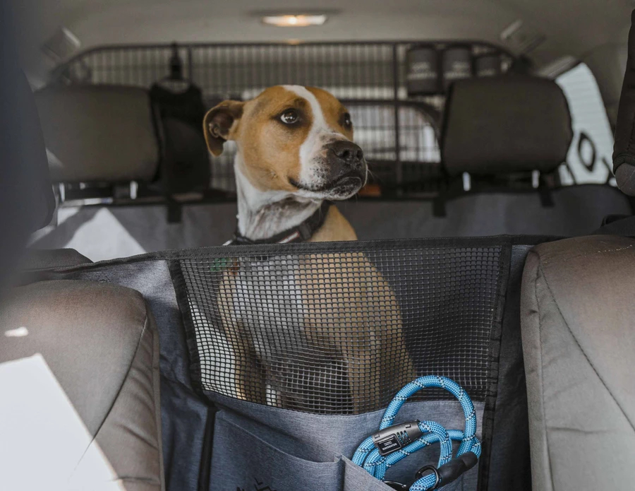 Navigator Hundedecke für Auto