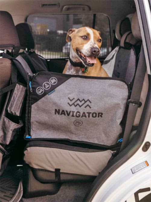 Navigator Hundedecke mit Hund