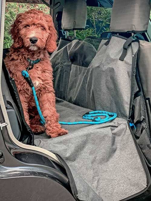 Navigator Hundedecke im Auto